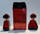 2 Flacons Parfum Vaporisateur + 1 Boites  "  XXXXXXXX " - Flacons - Vides Collection - Flacons (vides)