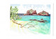 Cpm - SEYCHELLES - Illustration SUSANNA SEIDL - Cousin Island - 1987 - - Seychelles