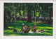 AK 019696 USA - New York City - Central Park - Picknick - Central Park