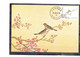 Chine - 4 Oiseaux - Illustrations De La Dynastie Ching Bird Manual (Série Compléte) - Tarjetas – Máxima