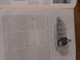 Delcampe - 8 / L ILLUSTRATION N° 4110 1921 UN BEL EXEMPLE DE GRANDE FAMILLE FRANCAISE VINGT TROIS ENFANTS DIX HUIT VIVANTS - L'Illustration
