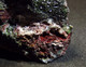 Libethenite With Goethite ( 3.5 X 2.5 X 3 Cm ) Miguel Vacas Mine - Alandroal - Evora - Portugal - Minéraux