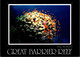 (1 E 29) Australia - QLD - Great Barrier Reef (2 Cards) UNESCO - Great Barrier Reef