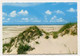 AK 020789 GERMANY - Insel Amrum - Dünen Am Kniepsand - Nordfriesland