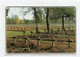 AK 020951 BELGIUM - Lommel - Deutscher Soldatenfriedhof - Lommel