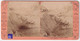 Mer De Glace & Glacier Du Géant - Photo Stéréoscopique 1890 Suisse & Savoie B.K éditeurs Chamonix Mont-Blanc C5-35 - Photos Stéréoscopiques