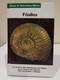Fósiles. Karl Beurlen Y Gerhard Lichter. Ilustrado Por Fritz Wendler. Blume. 1990. 287 Pp. - Práctico