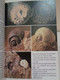 Delcampe - Fósiles. Karl Beurlen Y Gerhard Lichter. Ilustrado Por Fritz Wendler. Blume. 1990. 287 Pp. - Práctico