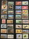 Delcampe - J210 – Nouvelle Zélande New Zealand (°) Obl Collection 874 Timbres Tous Différents Entre 1877 Et 2008, Côte > 1200€ - Colecciones & Series