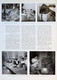 Delcampe - L'ILLUSTRATION N° 5104 04-01-1941 DÉCOUVERTE LASCAUX MONTIGNAC PAUL THOMAS ART RUPESTRE ABBÉ BREUIL LILLE BICYCLETTE - L'Illustration