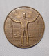 Médaille CNPPA NCPGE Aan Lieutenant Frison Kapelmeester 16°divisie Mechelen 1965 - 50 Mm - Belgium