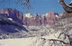 ZION NATIONAL PARK - SPRINGDALE - WEST TEMPLE AND TOWERS OF THE VIRGIN - Zion