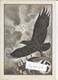 Reichsparteitag Nürnberg 2 Stück Telegramme Hitler Propagandakarte HK XX  Nuremberg Allemagne Propaganda-Karte - Guerra 1939-45