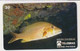 TK 00270 BRAZIL - Telebras - Fische