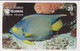 TK 00271 BRAZIL - Telebras - Fish