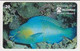 TK 00273 BRAZIL - Telebras - Peces