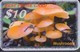 Delcampe - MUSHROOM SET OF 16 PHONE CARDS - Alimentation