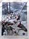 La Tribuna Illustrata 27 Dicembre 1914 WW1 Natale Nel Quarnaro Natività Falkland - Weltkrieg 1914-18