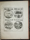 Delcampe - Science Hieroglyphique, Ou Explication Des Figures Symboliques Des Anciens, Avec Differentes Devises Historiqu - Rarità