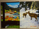 5 Different Cards Murren Schilthorn Bahn - Innsbrucker Nordkettenbahn - Alphorn Jungfrau - Motel Luna Wilderswil Ref 135 - Wilderswil