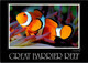 (2 E 7) Australia - QLD - Great Varrier Reef - Anemone Fish - Great Barrier Reef