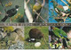 New Zealand & Marcofilia, Native Birds, Weymouth England 2007. (9205) - Covers & Documents