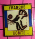 313j Pin's Pins / Beau Et Rare / THEME : SPORTS / FFVB VOLLEY BALL FRANCHE COMTE - Volleybal