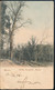 °°° 29671 - ROMA - VILLA PAMPHILI , BOSCO - 1901 With Stamps °°° - Parks & Gardens