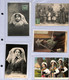 Delcampe - COL ADD - Très Belle Collection Privée De 276 CPA Folklore-costumes-coiffes Bretagne Principalement - Superbe - Kostums