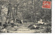 Erinnophilie BRIDES LES BAINS Savoie Vignette Union Des Femmes De France Croix Rouge Sur Cpa Le Bois De Cythere 1912  .G - Croix Rouge