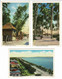 Lot 3 X CPA Philippines Philippinen Filipinas Philippijnen Old Postcard Cartes Postales Manila Dewey Boulevard Coconut - Philippinen