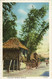 Lot 3 X CPA Philippines Philippinen Filipinas Philippijnen Old Postcard Cartes Postales Manila Dewey Boulevard Coconut - Filipinas