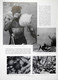 Delcampe - L'ILLUSTRATION N° 5117 5-04-1941 STALAG MATSUOKA TRIPOLI ORPHELINAT PHOTO SOUS-MARINE HEUCQUEVILLE - L'Illustration