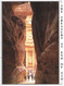 43090. Postal Aerea PETRA (Egypt) 1992. Ruinas De Petra, Jordan, Stamp TUTANKHAMUN, Faraon - Briefe U. Dokumente