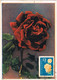 43092. Tarjeta Maxima PETRIC (Bulgaria) 1963. ROSA,flowers, Flores. Circulada - Cartas & Documentos