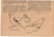 Montreal CAGE BIRDS And Au Pets/Official Bulletin/Montreal CANARY And CAGE BIRD Association/1944                  VPN374 - Pet/ Animal Care