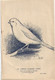 The Montreal CANARY And CAGE BIRDS Association/Canada's Championship Show/Legion Hall VERDUNl/1942   VPN378 - Dieren