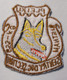 Ecusson/patch - USAF Vietnam - 633rd K9 - Pleiku - Sentry Dog Section - Ecussons Tissu