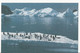 TAAF - 1991 - Hommage à L'Amiral Max Douguet - CP1 ** - Entiers Postaux