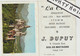 V P : Calendrier :  1961 Petit , Dol De Bretagne : J. Dupuy - Petit Format : 1961-70