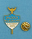 1 PIN'S //  ** NACIOUN GARDIANO / LOURDES 1999 ** - Stierkampf