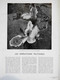 Delcampe - L'ILLUSTRATION N° 5121 / 03-05-1941 SCAPINI LAMARTINE JOCELYN GOERING SERBIE DARLAN MARCEL PAGNOL PUISATIER PAUL VITRY - L'Illustration