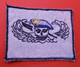 Ecusson/patch - Vietnam Vet And Damn Proud Of It - Ecussons Tissu