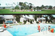 ► Beet. St Pertersburg And Clearwater - The SEMINOLE VILLAGE HOTEL Swimming Pool 1950s - Clearwater