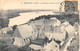 Beaugency           45        Le Couvent Et Vue Sur La Loire      (voir Scan) - Beaugency