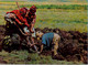 PERÚ , T.P. CIRCULADA , CHAQUITAJLLA , ARADO INCAICO , CUZCO - Peru