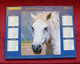 Almanach Du Facteur 2004 PTT Lavigne (81) Photos Cheval / Chien - Grand Format : 2001-...