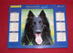 Almanach Du Facteur 2004 PTT Lavigne (81) Photos Cheval / Chien - Grand Format : 2001-...