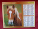 Almanach Du Facteur 2005 PTT Lavigne (81) Photos Cheval / Chien - Grand Format : 2001-...