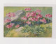 HALLER A. Flowers Mice Postcard - Haller, A.